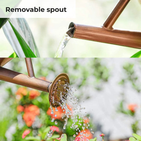 Metal Plant Watering Can With Removable Spout
