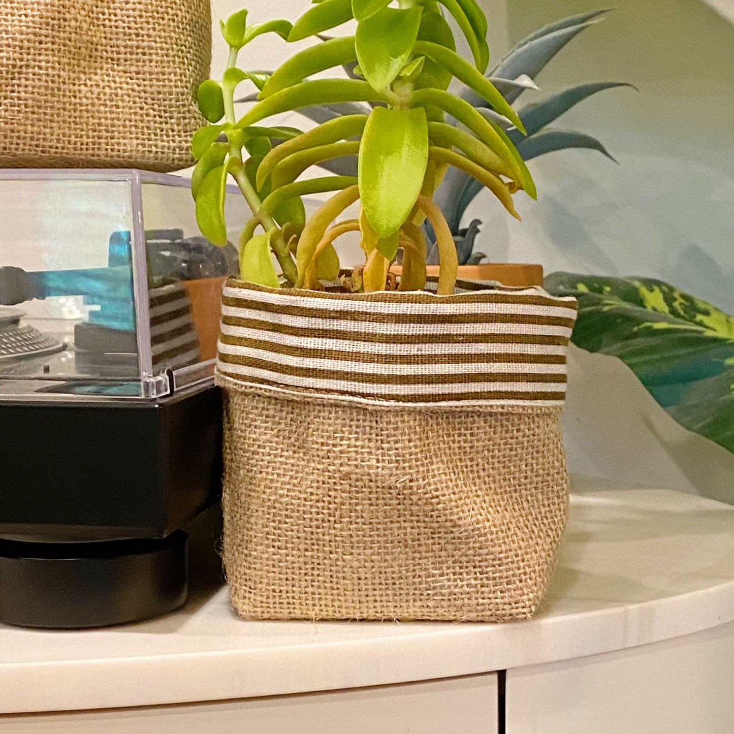 Reversible Burlap Plant Pot Cover - Two Looks in One