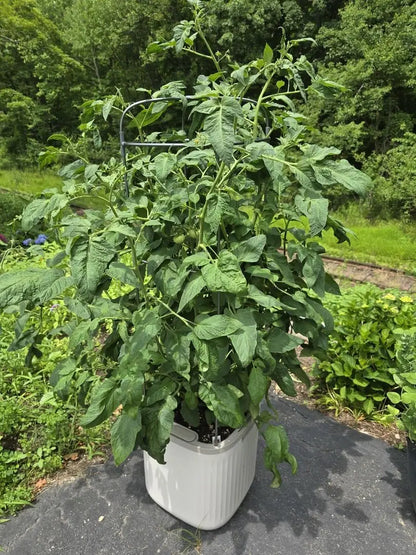 Planters for Outdoor & Indoor Plants, Large Plant Pots with Self Watering, 15" Tall Plant Pots with Trellis for Flowers Plants