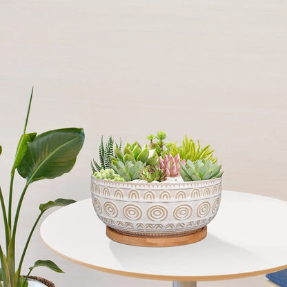 8 Inch White Ceramic Succulent Planter with Drainage Hole and Saucer, Round Shallow Pot for Indoor Plants