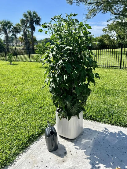 Planters for Outdoor & Indoor Plants, Large Plant Pots with Self Watering, 15" Tall Plant Pots with Trellis for Flowers Plants