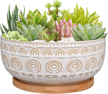 8 Inch White Ceramic Succulent Planter with Drainage Hole and Saucer, Round Shallow Pot for Indoor Plants